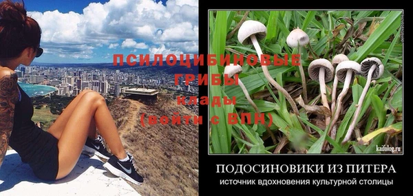 спиды Беломорск