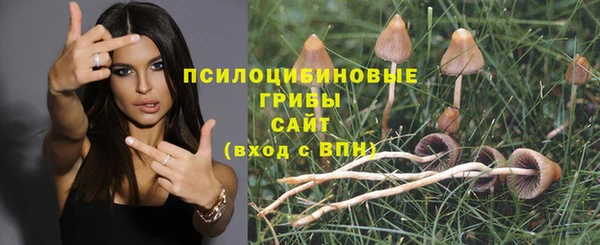 гашик Белоозёрский