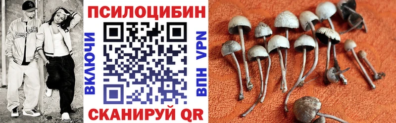 Псилоцибиновые грибы ЛСД это наркотические препараты Новотитаровская наркота